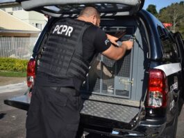 Homem condenado por tráfico e roubo é preso em Mercedes