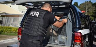 Homem condenado por tráfico e roubo é preso em Mercedes
