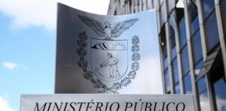 Homem é condenado a mais de 11 anos de prisão por maus-tratos a três cães em Terra Roxa