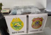 Homem é preso com quase 10 quilos de skunk em ônibus abordado em Cascavel