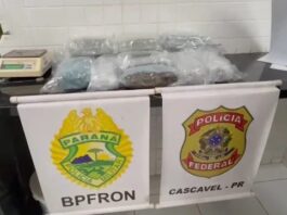 Homem é preso com quase 10 quilos de skunk em ônibus abordado em Cascavel