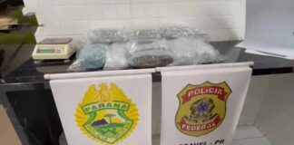 Homem é preso com quase 10 quilos de skunk em ônibus abordado em Cascavel
