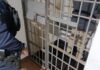 Mais um caso de violência doméstica em Toledo Mobiliza Guarda Municipal