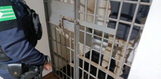 Mais um caso de violência doméstica em Toledo Mobiliza Guarda Municipal