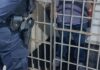 Homem quebra vidros do Cras II após ter vale-alimentação negado e acaba detido em Toledo