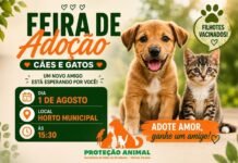 Horto Municipal receberá, no próximo dia 1º, feira de adoção de cães e gatos