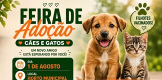 Horto Municipal receberá, no próximo dia 1º, feira de adoção de cães e gatos