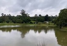 Idoso morre ao cair dentro de açude no interior de Guaíra