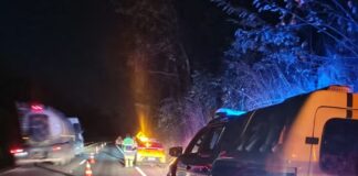 Idoso morre após atropelamento em estrada rural de Francisco Alves