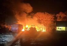Incêndio criminoso destrói curral e deixa animais mortos em propriedade no interior rondonense