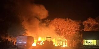 Incêndio criminoso destrói curral e deixa animais mortos em propriedade no interior rondonense