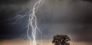 Inmet inclui Toledo em alerta de tempestade com ventos de até 100 km/h nesta quarta-feira (29)