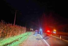 Motociclista morre em colisão frontal na PR-495, em Medianeira