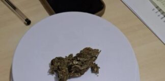 Motorista é flagrado com maconha durante fiscalização da PRE em Palotina
