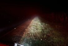 Motorista perde controle em pista molhada, carro capota e para em ribanceira na PR-182, em Toledo
