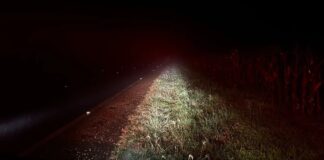 Motorista perde controle em pista molhada, carro capota e para em ribanceira na PR-182, em Toledo