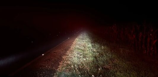 Motorista perde controle em pista molhada, carro capota e para em ribanceira na PR-182, em Toledo