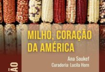 Museu Histórico tem exposição sobre o milho como símbolo cultural da América