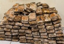 PF intercepta carregamento de 225 quilos de crack e prende motorista em flagrante em Maringá