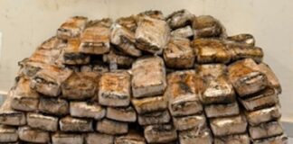 PF intercepta carregamento de 225 quilos de crack e prende motorista em flagrante em Maringá