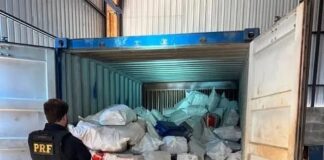 PRF descobre depósito do tráfico e apreende mais de 8 toneladas de maconha no MS