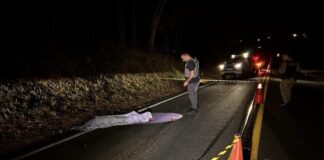 Pedestre morre após ser atropelado em rodovia da região