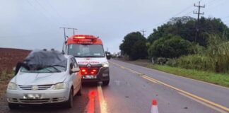 Pedestre morre após ser atropelado na PR-495 em Missal