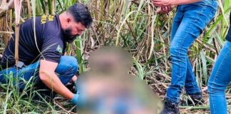 Dois corpos são encontrados na região executados a tiros