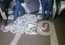 Polícia Militar apreende cerca de mil pacotes de cigarros contrabandeados e prende homem em Toledo