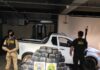Policiais apreendem 500 quilos de maconha após perseguição em Guaíra