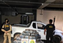 Policiais apreendem 500 quilos de maconha após perseguição em Guaíra