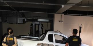 Policiais apreendem 500 quilos de maconha após perseguição em Guaíra