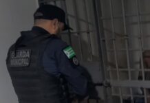 Por ciúmes, homem agride namorada e quebra televisão e pia de residência em Toledo