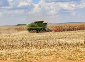 Produtores rurais buscam esclarecimentos sobre diferenças no preço dos grãos pagos na Região Oeste do Paraná