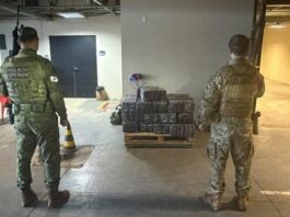 Quase meia tonelada de maconha é apreendida em Guaíra