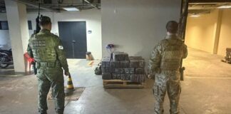 Quase meia tonelada de maconha é apreendida em Guaíra