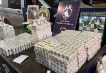 RF apreende na Ponte da Amizade 5.850 ampolas de “Mounjaro”, medicamento emagrecedor avaliadas em R$ 735 mil reais