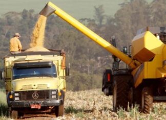 AGRONEGÓCIO: Safra de Verão é marcada por recorde no Paraná