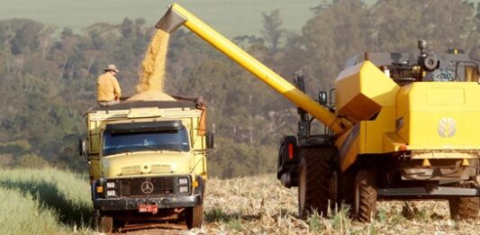 AGRONEGÓCIO: Safra de Verão é marcada por recorde no Paraná