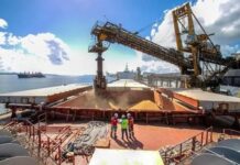 Soja embarques para o exterior superam 70 milhões de toneladas no 1º semestre