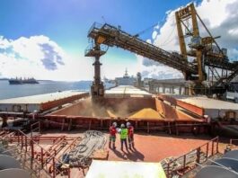Soja embarques para o exterior superam 70 milhões de toneladas no 1º semestre