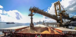 Soja embarques para o exterior superam 70 milhões de toneladas no 1º semestre