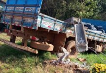 Trabalhador morre eletrocutado após caminhão desgovernado atingir postes durante carregamento de silagem