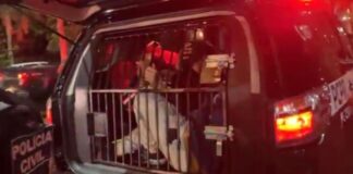 Três suspeitos são presos após tentativa de assalto a motorista de aplicativo em Foz do Iguaçu