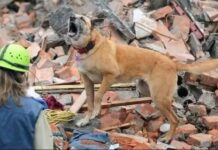Embaixada Solidária começa a receber vítimas dos terremotos na Venezuela