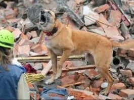 Embaixada Solidária começa a receber vítimas dos terremotos na Venezuela