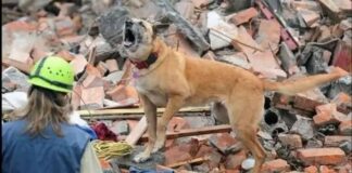 Embaixada Solidária começa a receber vítimas dos terremotos na Venezuela