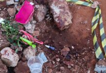 Mulher é morta a facadas pelo ex-companheiro em fazenda no interior de Matelândia