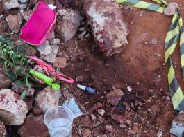 Mulher é morta a facadas pelo ex-companheiro em fazenda no interior de Matelândia