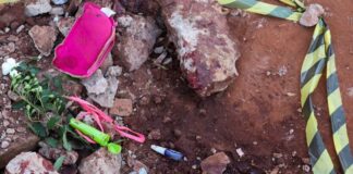 Mulher é morta a facadas pelo ex-companheiro em fazenda no interior de Matelândia